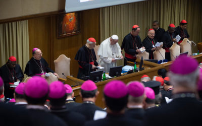 Members of commissions preparing synod on synodality unveiled