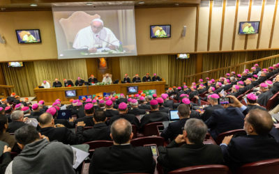 Vatican asks all Catholic dioceses to take part in synod on synodality