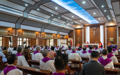 Church must be source of hope, not despair, Japan archbishop tells Asian synodal assembly